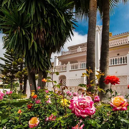Rosas De Capistrano *